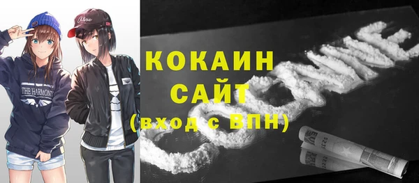 Альфа ПВП Сураж