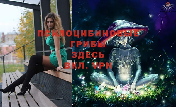 a pvp Тихвин