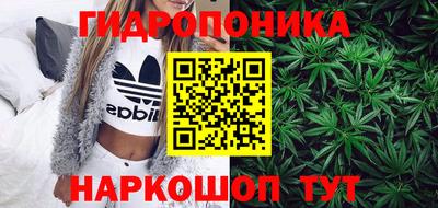 СК Новодвинск