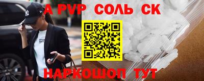 СК Новодвинск