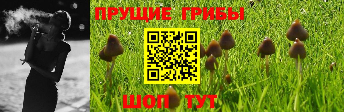 Галлюциногенные грибы GOLDEN TEACHER  Вход с VPN  Янаул 